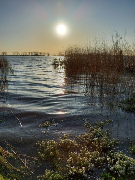 am-wasser-der-weser