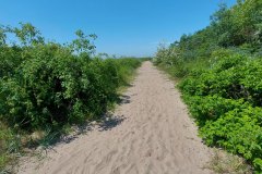 sandweg-auf-dem-campingplatz