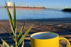 unsere-tasse-mit-altem-logo